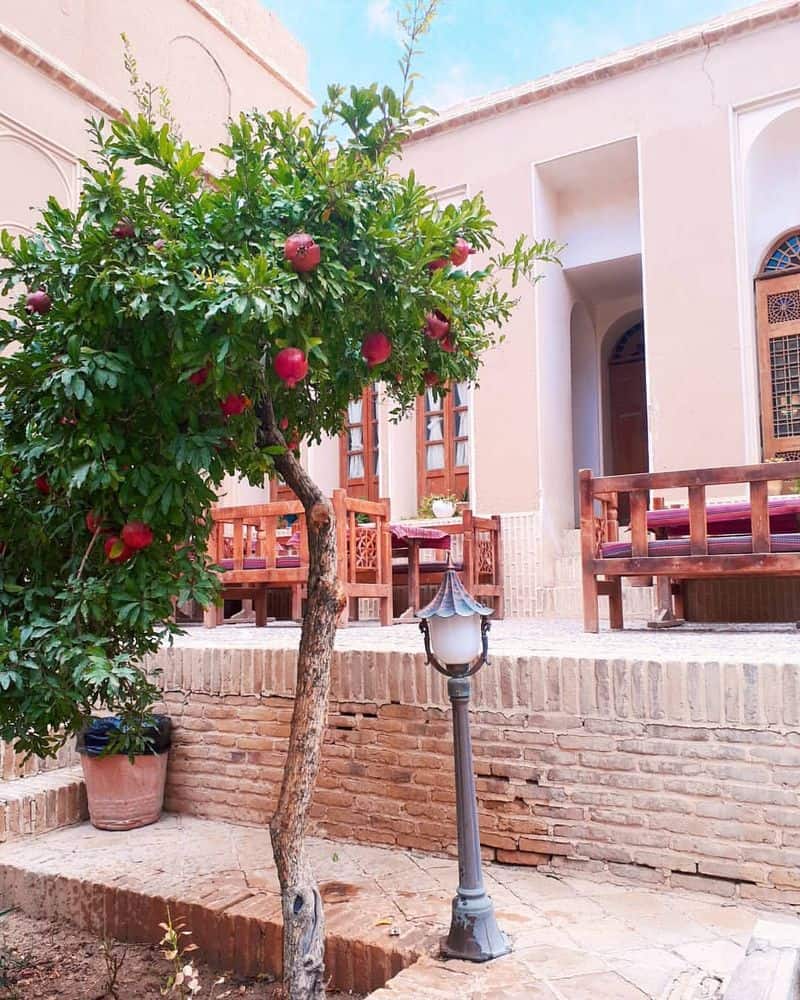 Pomegranate Tree