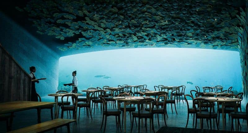 The Unique Dining Experience
