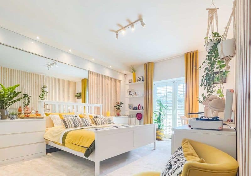 Indoor Plants