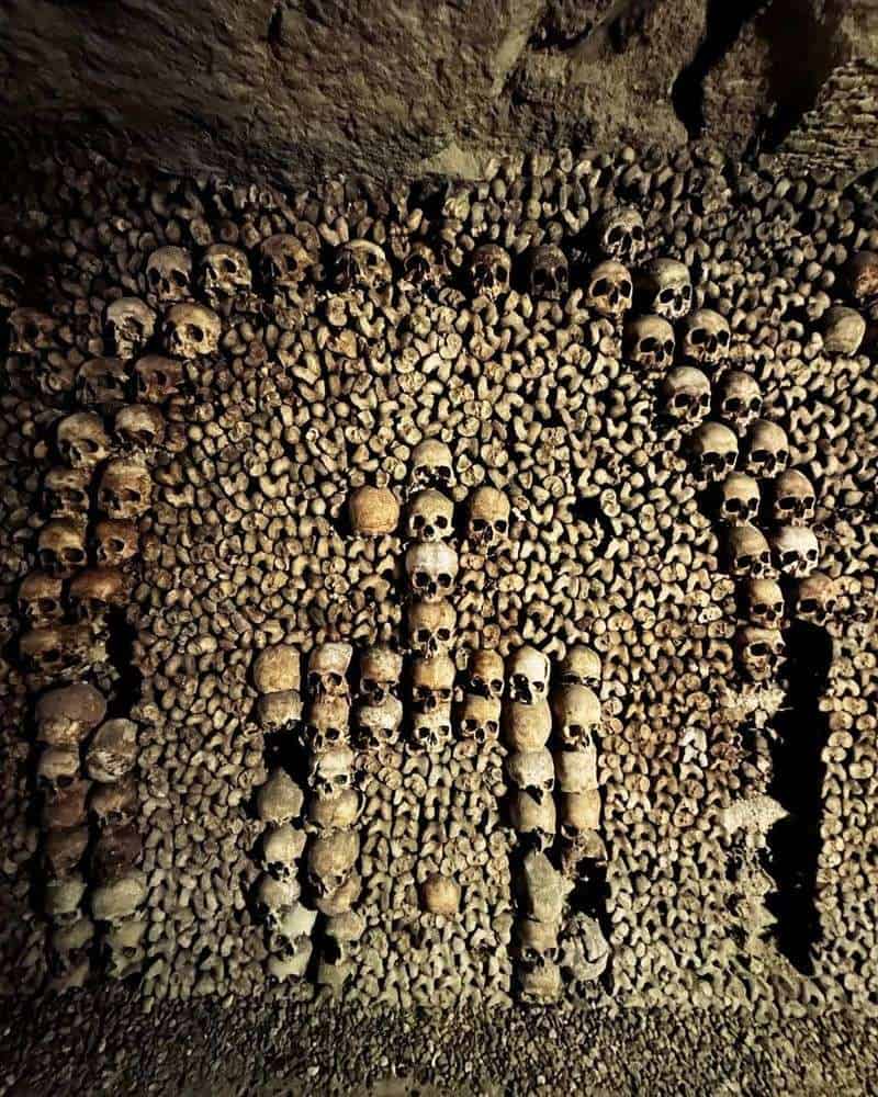 Artistic Bone Arrangements