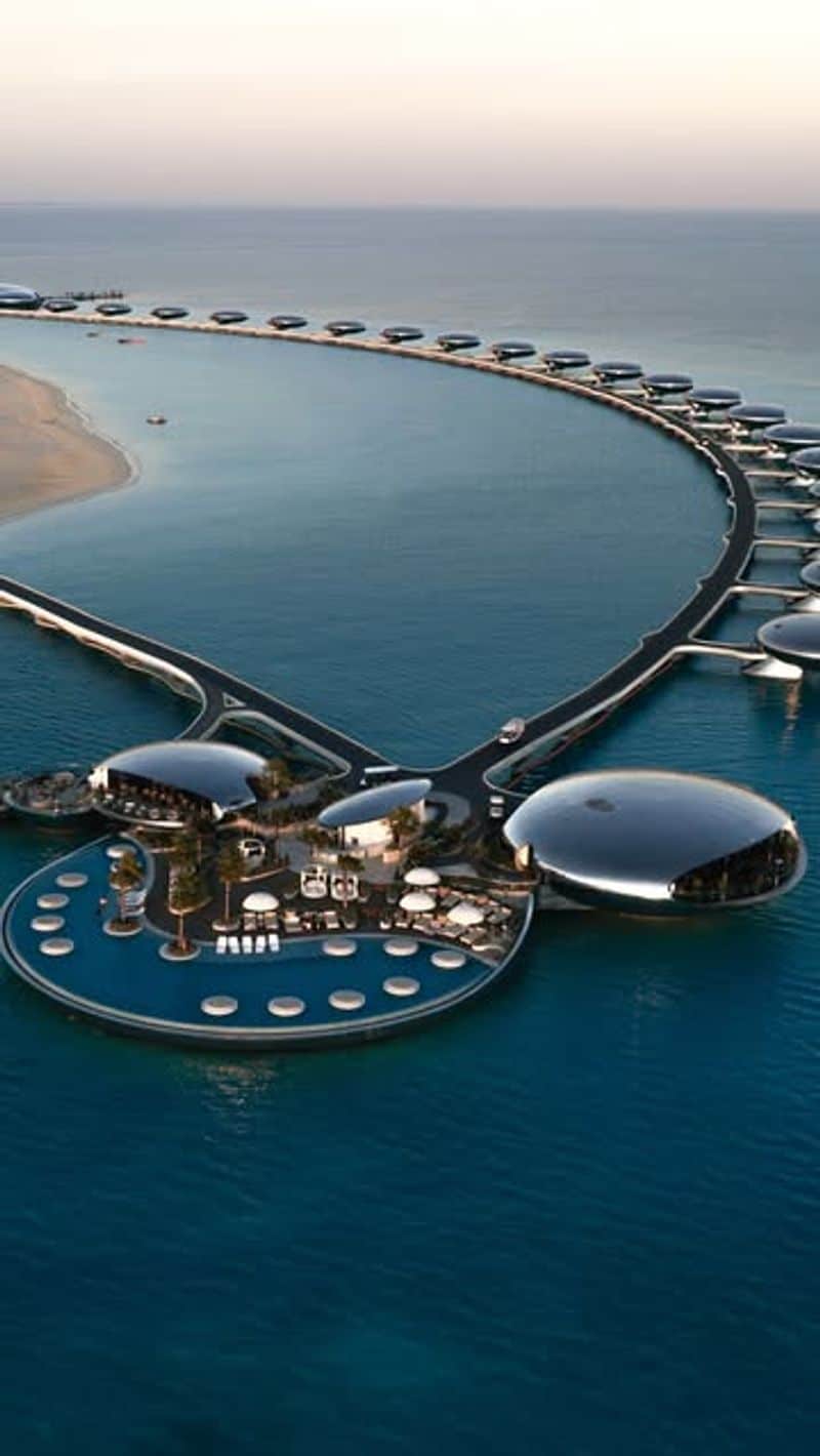 Sky Garden Oasis