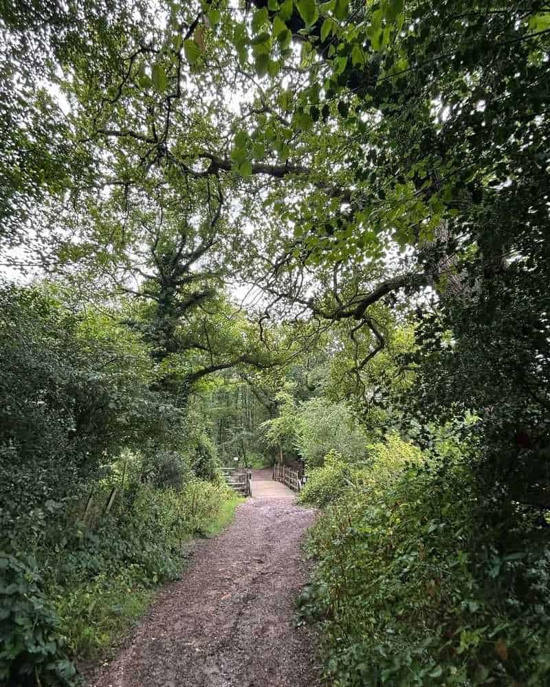 Ashdown Forest, East Sussex, England