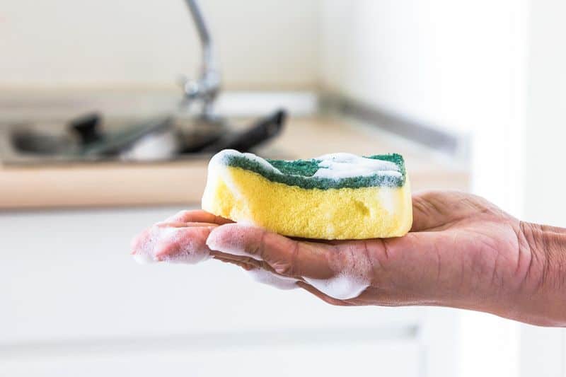 Kitchen Sponge Disinfector