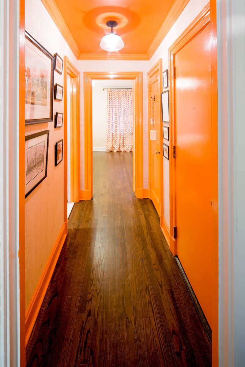 Bright Orange