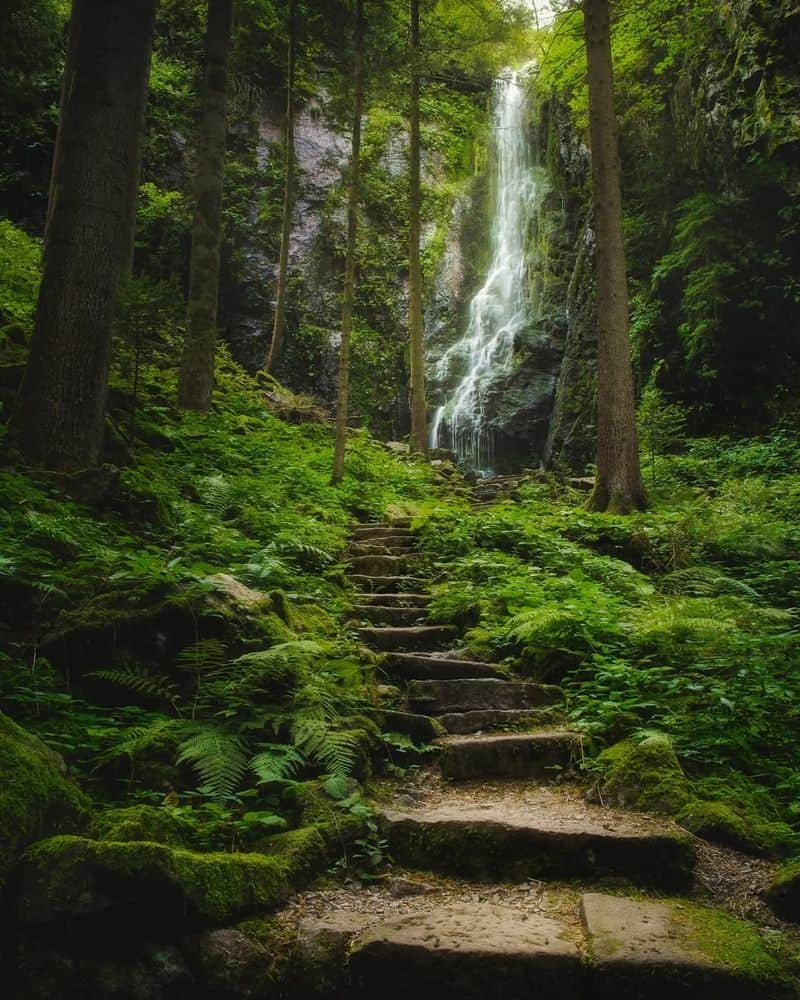 Black Forest, Germany