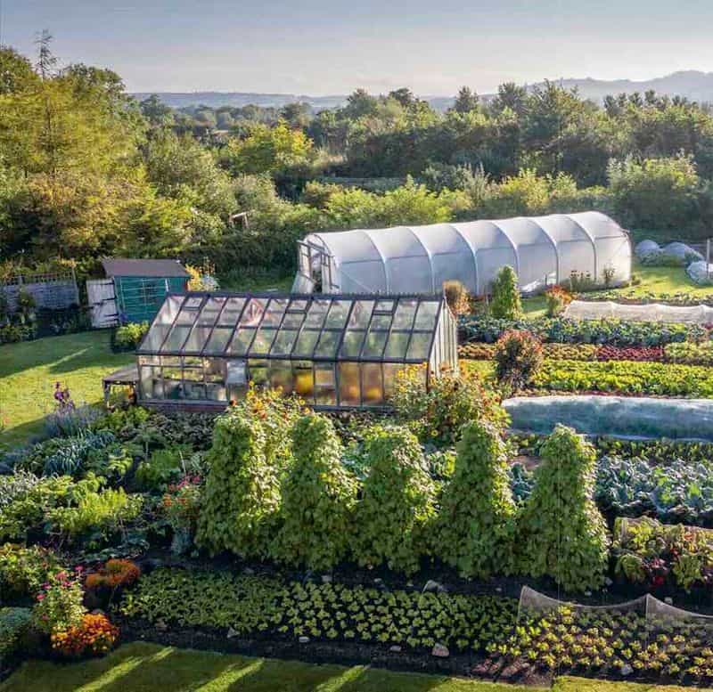 Boosts Soil Health