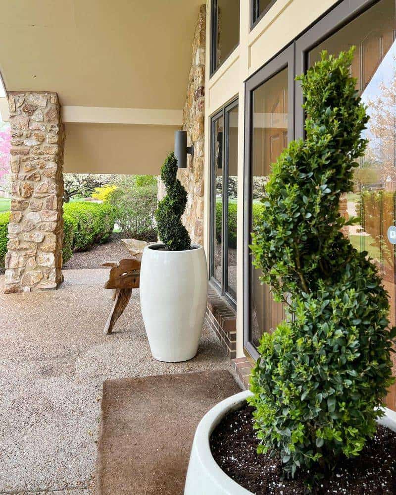 Boxwood Topiaries