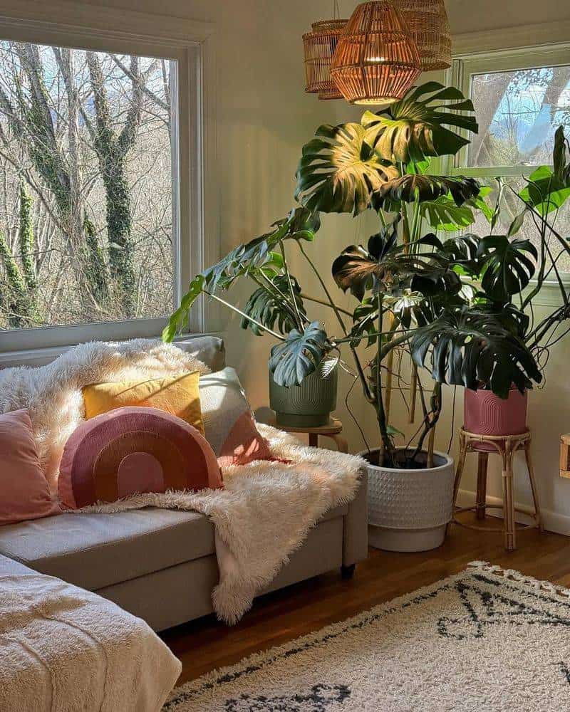 Bring in Plants