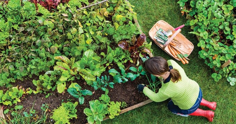 Gardening at Home