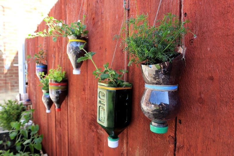 Plastic Bottle Planters