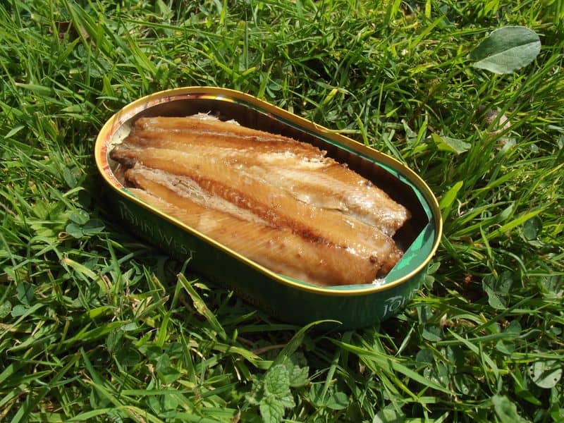 Canned Sardines