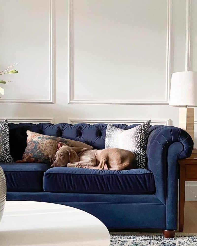 Canvas Fabrics