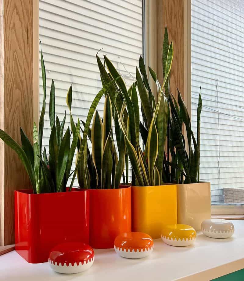 Ceramic Planters