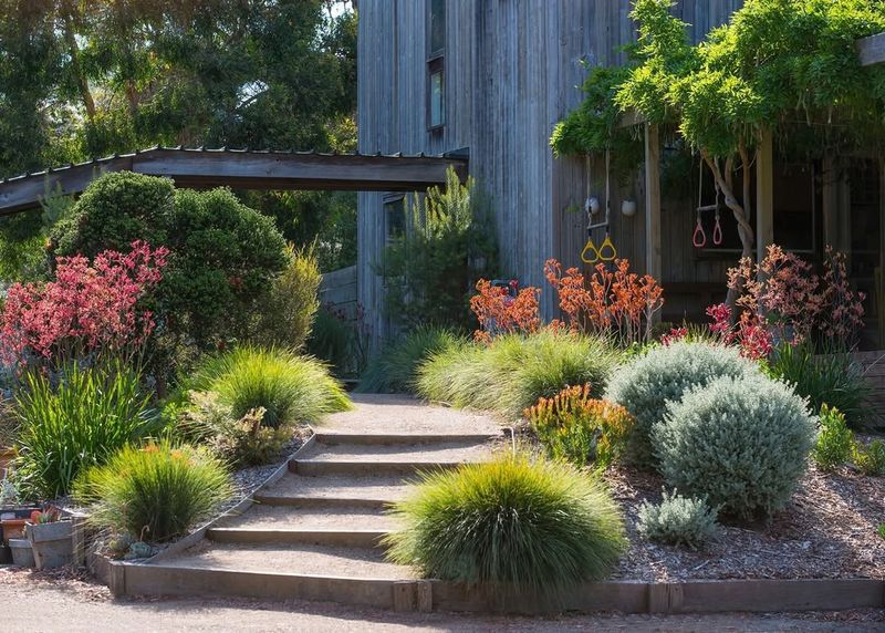 Choose Native Plants