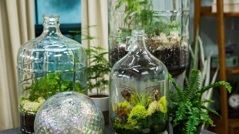Select Suitable Plants