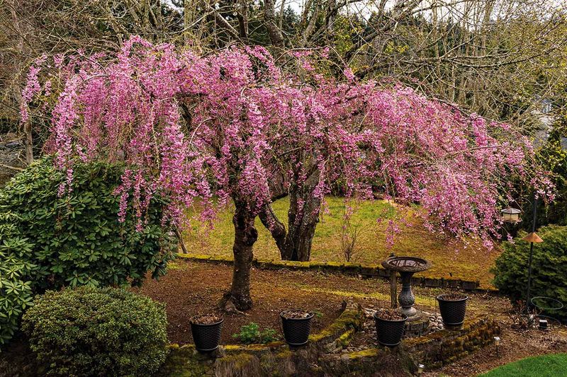 Pruning Techniques