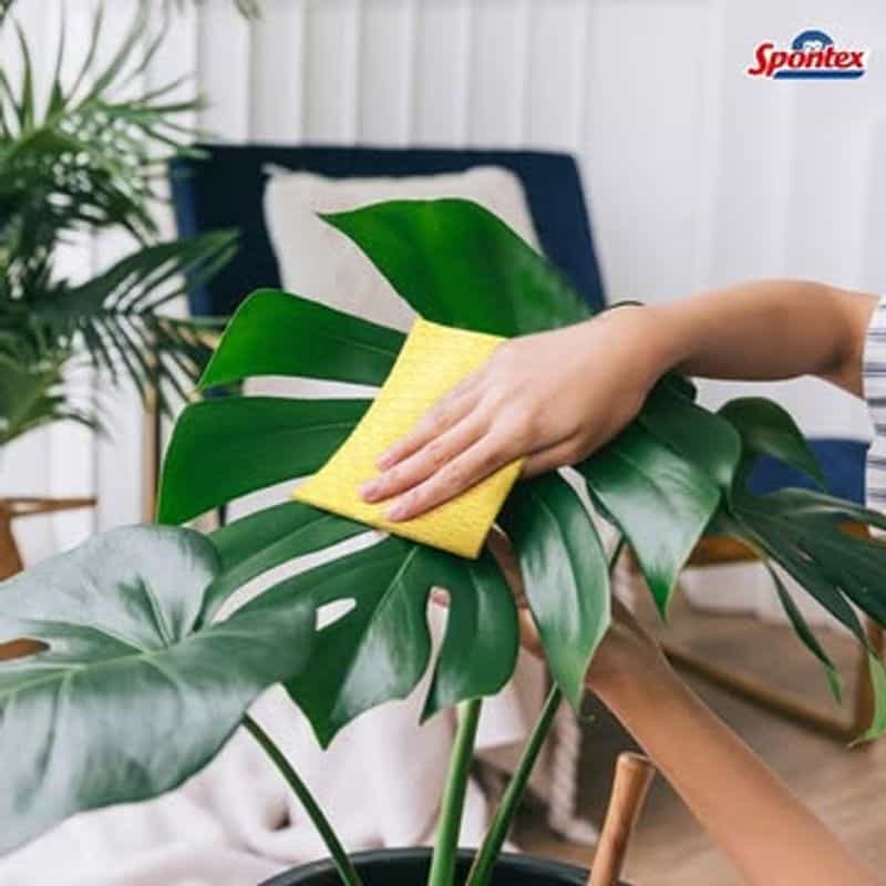 Clean Fake Plants Easily