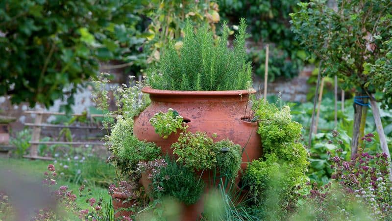 Herb Garden