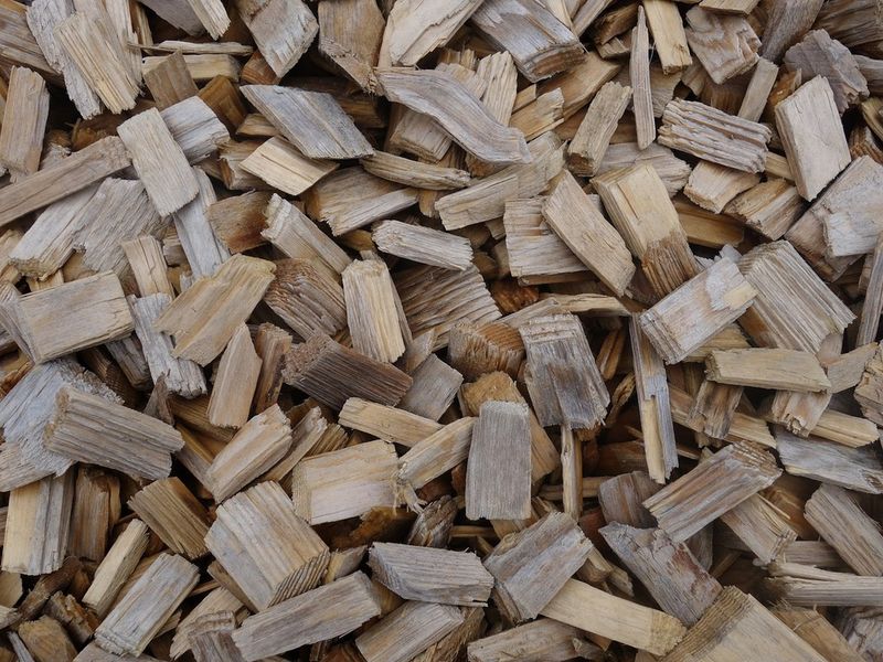 Wood Chips