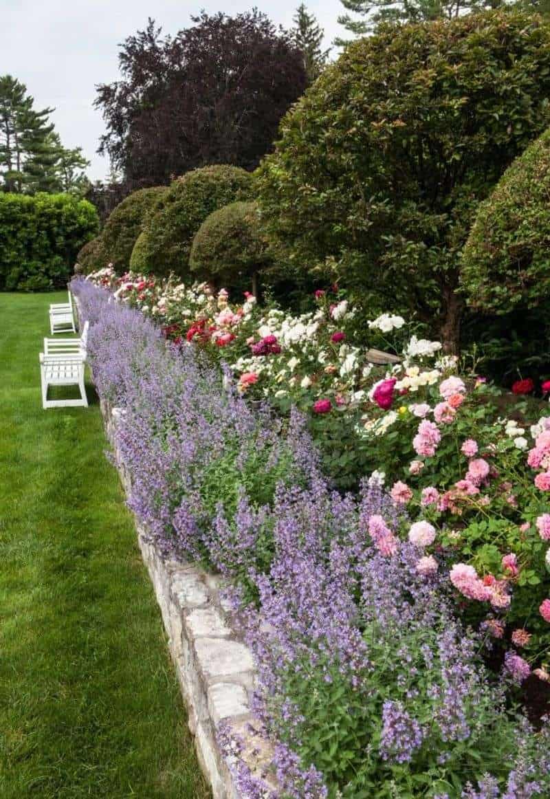 Control Pests Naturally