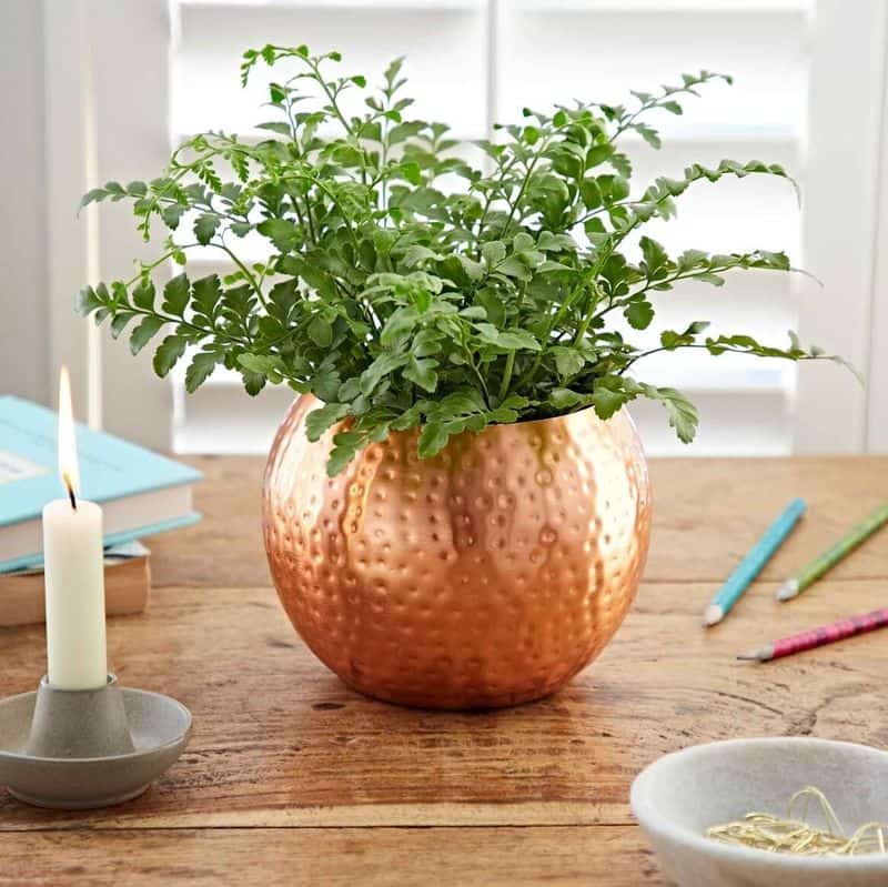 Copper Planters