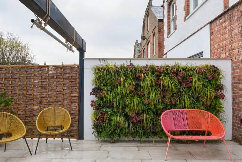 Lush Vertical Garden