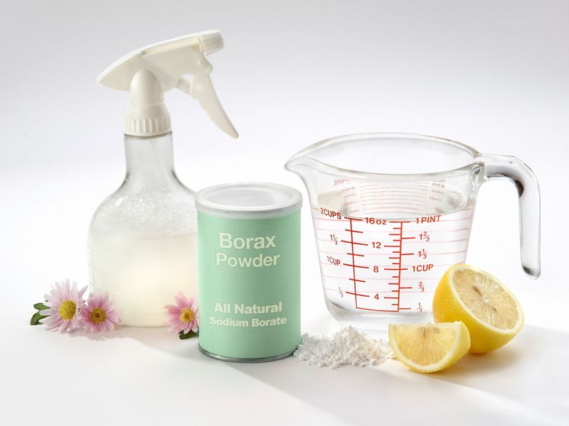 Borax Treatment