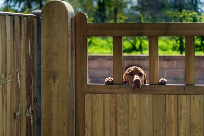 Secure Fencing