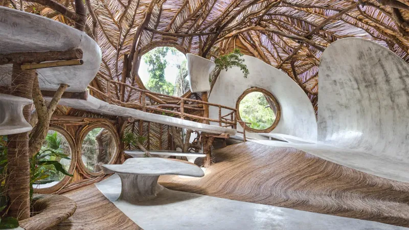 Biophilic Design