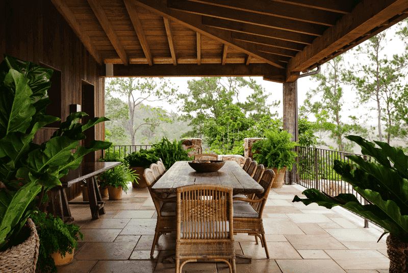 Decorate With Plants