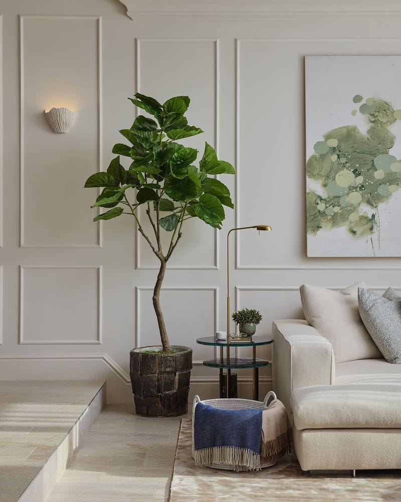 Decorate with Houseplants