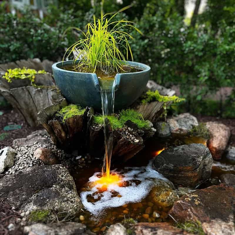 Design a Moss Garden