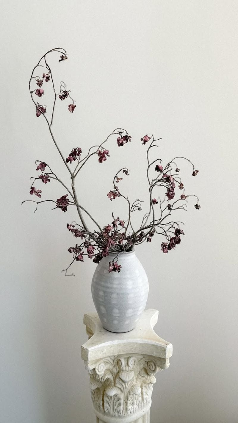 Dogwood Delight