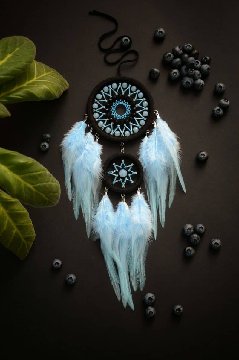 Dreamcatchers in Education
