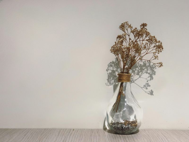 Dried Flowers