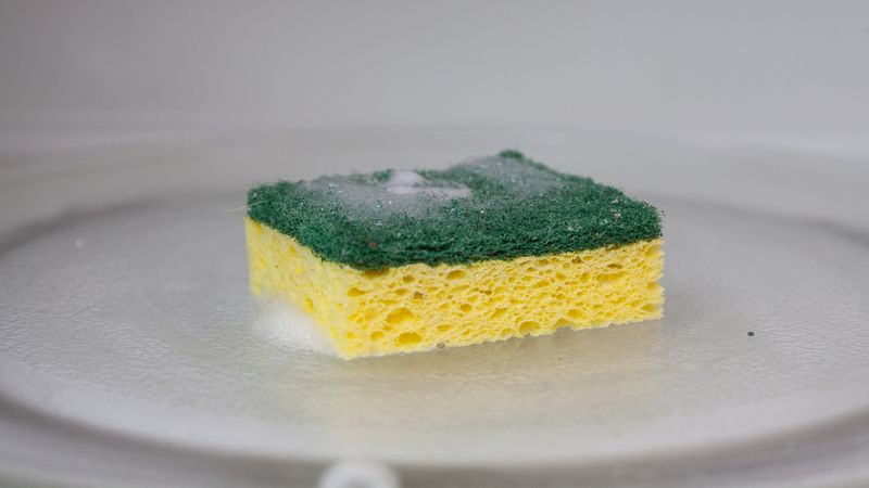 Microwave Disinfecting Sponges