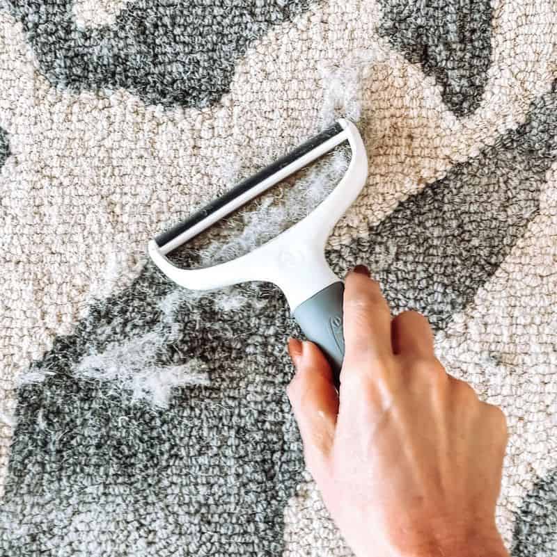 Squeegee Pet Hair Remover