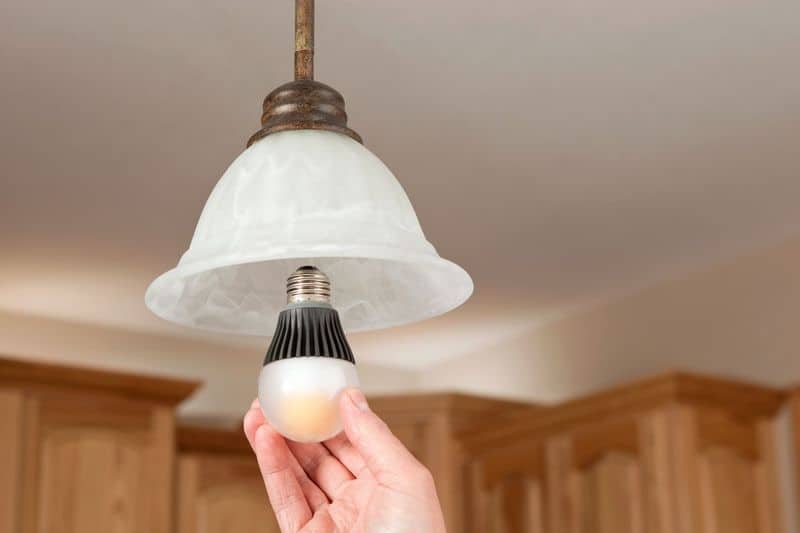 Smart Light Bulbs