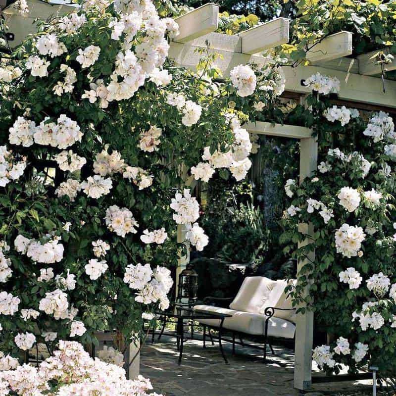 Historic and Romantic Appeal