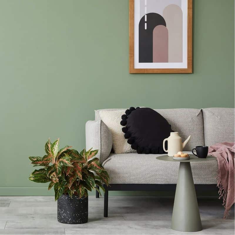 Fresh Sage Green