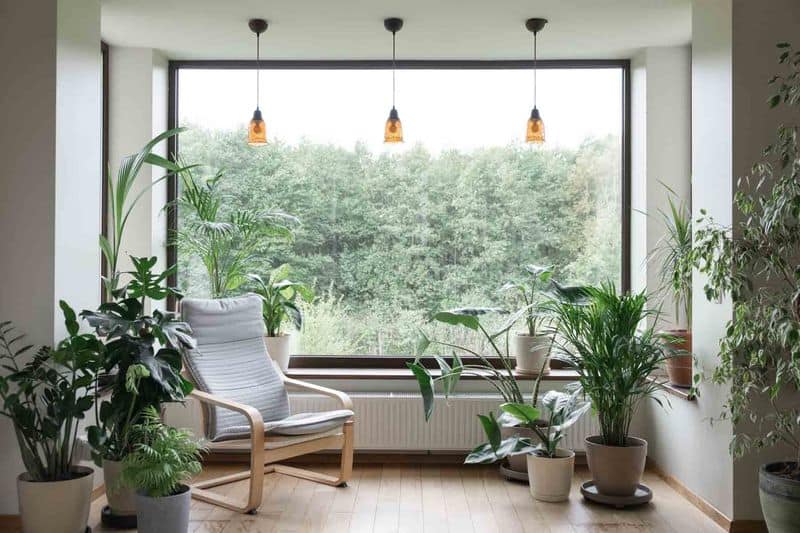 Unobstructed Views