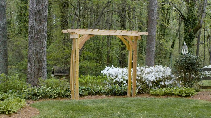 Frame Outdoor Views