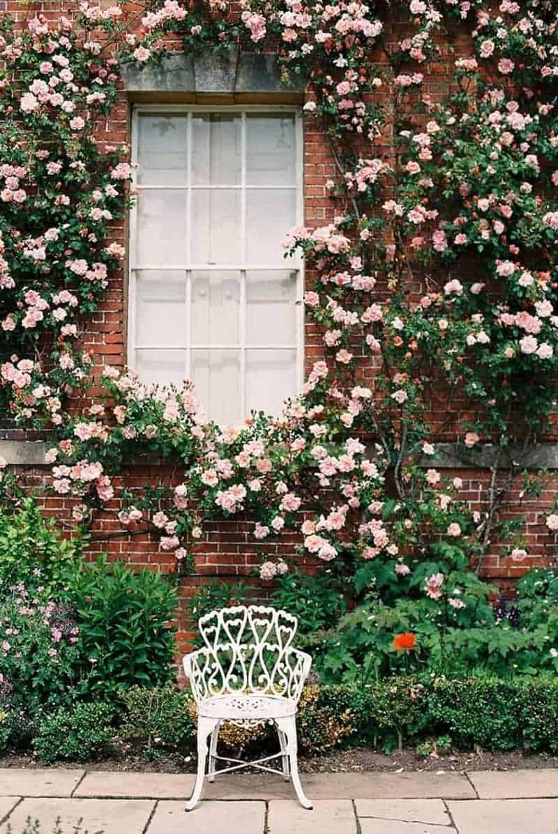 Long-Lasting Blooms