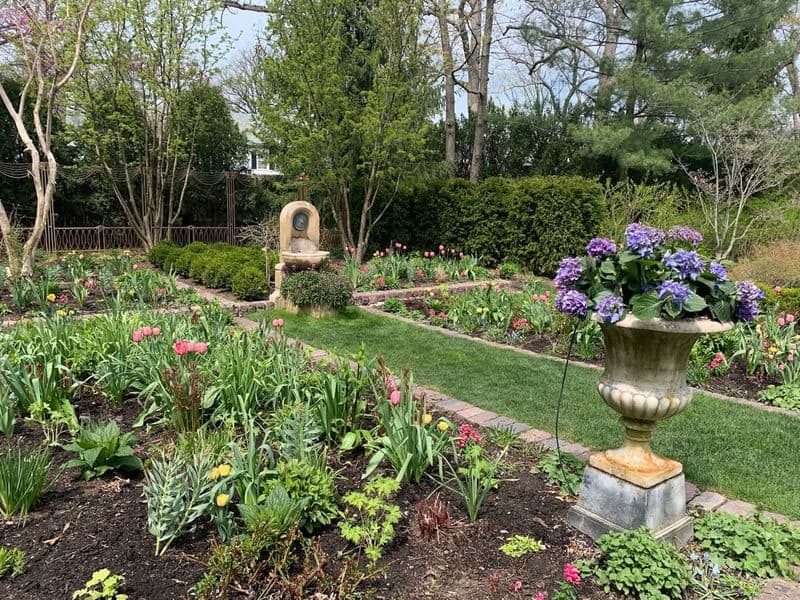 Enhances Garden Aesthetics
