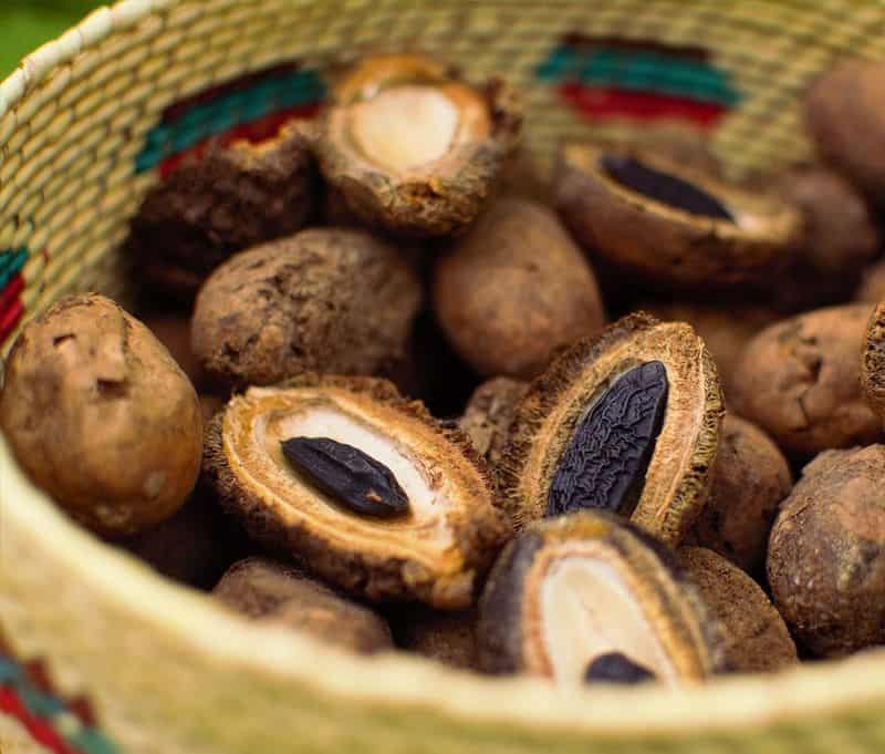 Exotic Coumarin Aroma