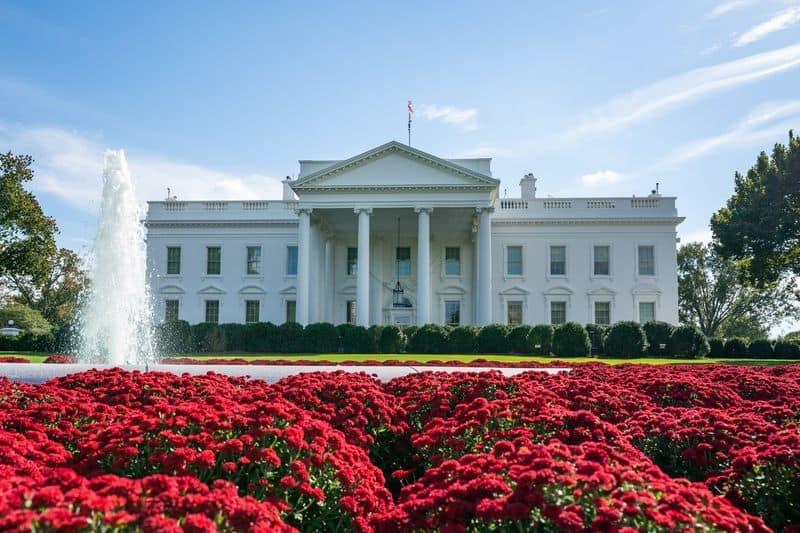 The White House