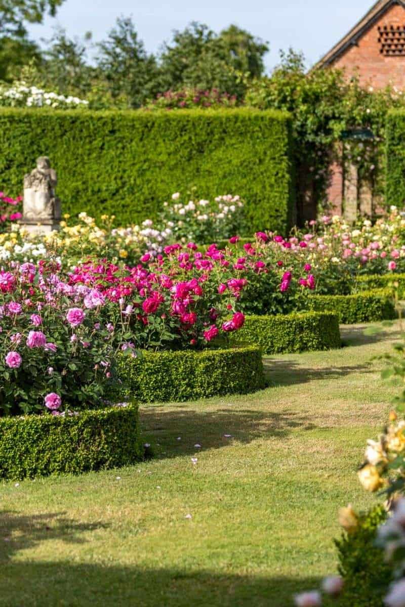 Fertilize for Flourishing Growth