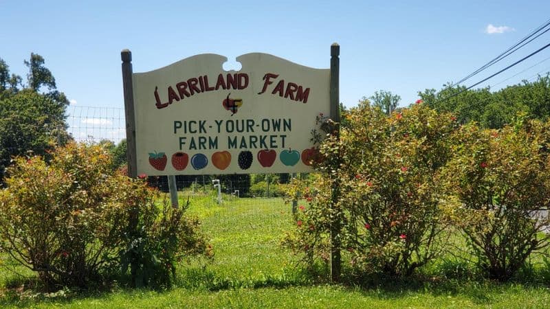 Larriland Farm