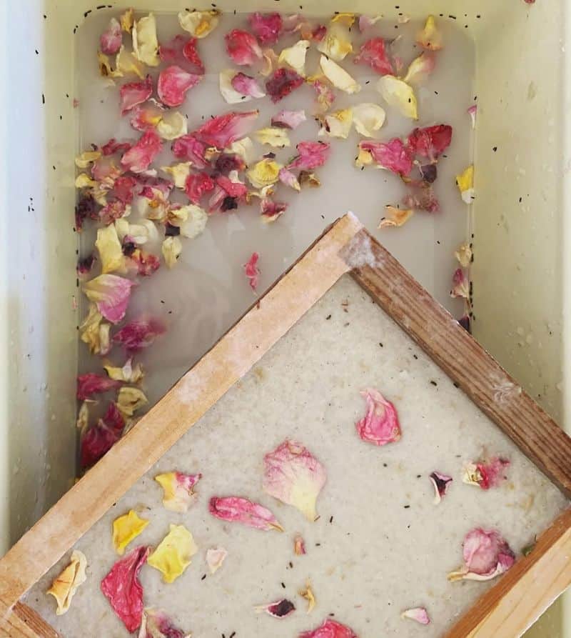 Flower Petal Paper
