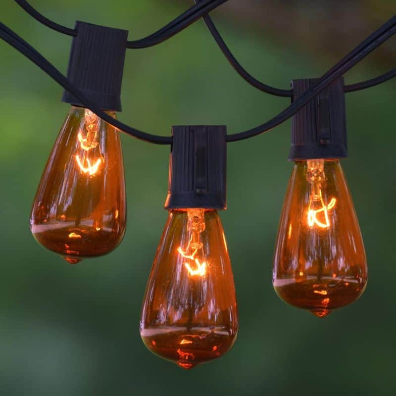 Vintage Edison Bulbs